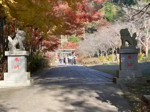 半僧坊大権現の建物その他