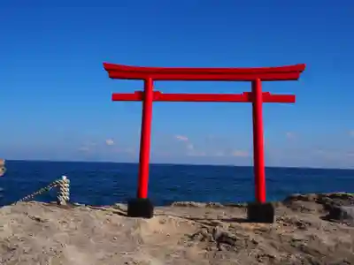 伊古奈比咩命神社の鳥居