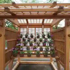 水海道八幡神社(茨城県)