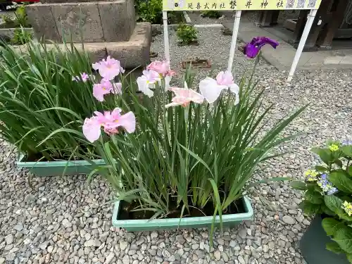 磐井神社(東京都)