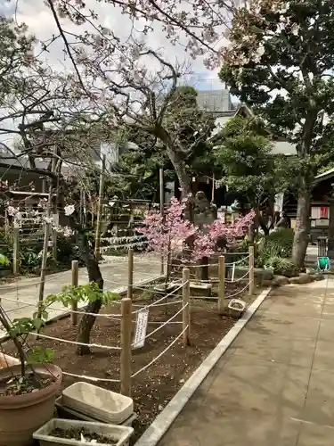 鳩森八幡神社(東京都)