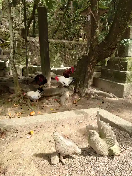 石上神宮の動物