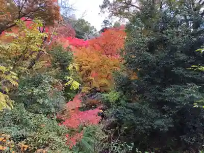 根来寺(和歌山県)