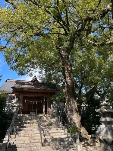 加納天満宮の{uncategorized: "未分類", other: "その他", undefined: "問題あり", building: "その他建物", grave: "お墓", sacred_gate: "鳥居", guardian: "狛犬", statue: "像", buddha: "仏像", history: "歴史", nature: "自然", garden: "庭園", animal: "動物", pagoda: "塔", temizu: "手水舎", mountain_gate: "山門・神門", sanctuary: "本殿・本堂", subordinate: "末社・摂社", art: "芸術", scenery: "景色", jizo: "地蔵", ema: "絵馬", goshuin: "御朱印", omikuji: "おみくじ", items: "授与品その他", amulet: "お守り", goshuincho: "御朱印帳", eats: "食事", festival: "お祭り", votive_dance: "神楽", shichigosan: "七五三参", wedding: "結婚式", experience: "体験その他", initially: "初詣", around: "周辺", anti_infection: "感染症対策"}