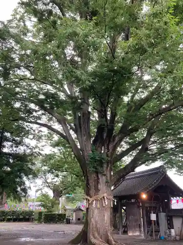 松本神社(長野県)