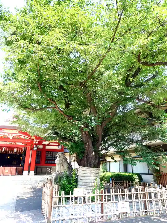 旗岡八幡神社(東京都)