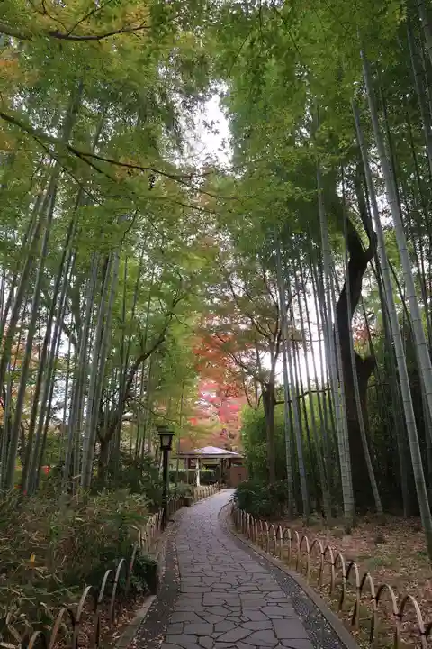 指月殿(静岡県)