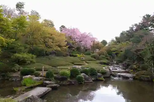 退蔵院(京都府)