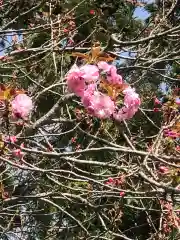 大生郷天満宮の自然