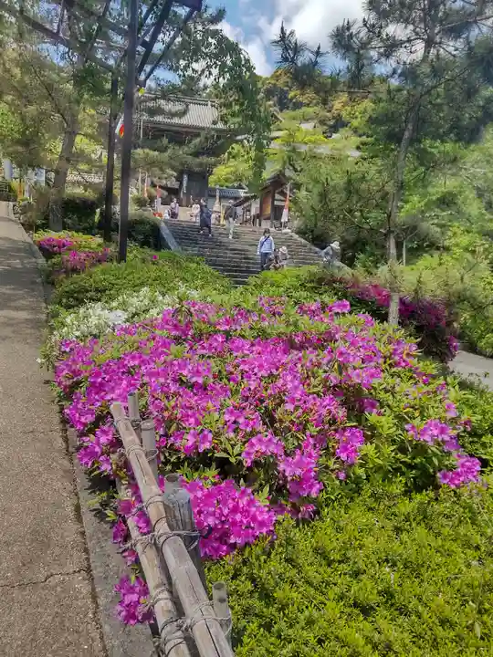 長谷寺のその他建物