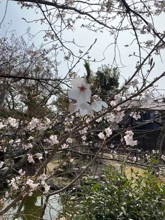 欣浄寺(京都府)