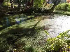 皆神神社(長野県)