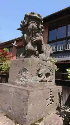 高円寺天祖神社の狛犬