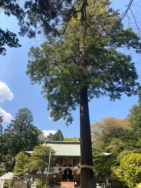 比々多神社の本殿・本堂