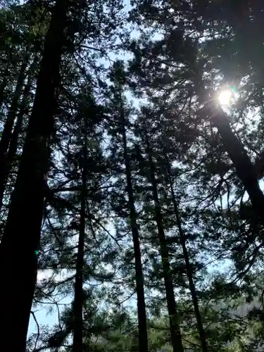 早池峰神社の自然