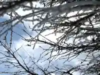 山の神神社(長野県)