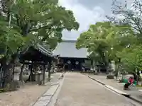 大樹寺(松安院大樹寺)(愛知県)
