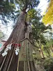 磐椅神社(福島県)