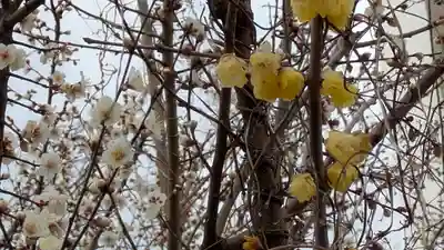 蓮花寺(大阪府)