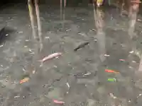 鹿島神宮(茨城県)