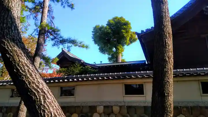 八劔社(桂八劔社)の本殿・本堂