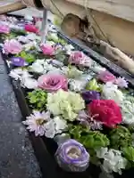 鳩森八幡神社の手水舎