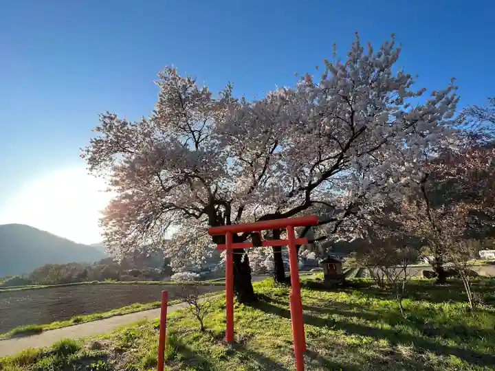 天神宮(伝河原氏屋敷跡)の自然
