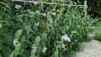 梨木神社(京都府)