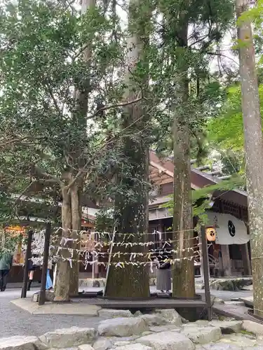 椿大神社(三重県)