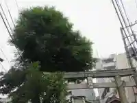 祇園白山神社(埼玉県)