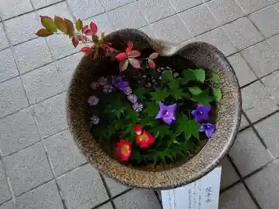 美瑛神社の手水舎