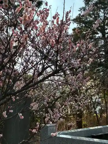 日枝天満宮の{uncategorized: "未分類", other: "その他", undefined: "問題あり", building: "その他建物", grave: "お墓", sacred_gate: "鳥居", guardian: "狛犬", statue: "像", buddha: "仏像", history: "歴史", nature: "自然", garden: "庭園", animal: "動物", pagoda: "塔", temizu: "手水舎", mountain_gate: "山門・神門", sanctuary: "本殿・本堂", subordinate: "末社・摂社", art: "芸術", scenery: "景色", jizo: "地蔵", ema: "絵馬", goshuin: "御朱印", omikuji: "おみくじ", items: "授与品その他", amulet: "お守り", goshuincho: "御朱印帳", eats: "食事", festival: "お祭り", votive_dance: "神楽", shichigosan: "七五三参", wedding: "結婚式", experience: "体験その他", initially: "初詣", around: "周辺", anti_infection: "感染症対策"}