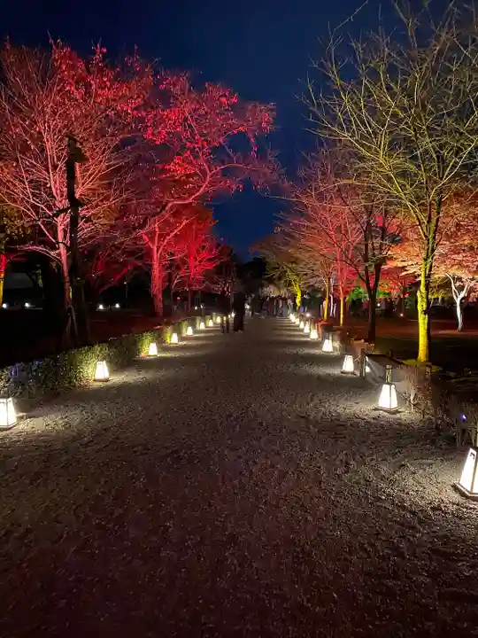 二条天皇 香隆寺陵(京都府)