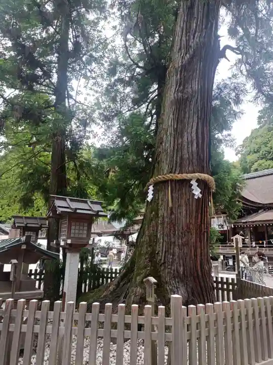 大神神社の御朱印
