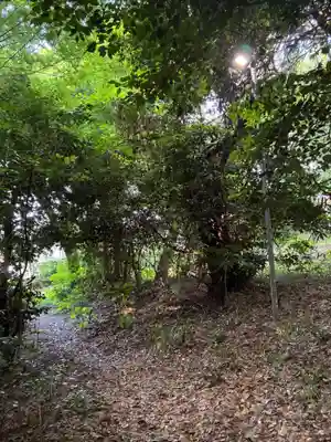 道祖神社(千葉県)
