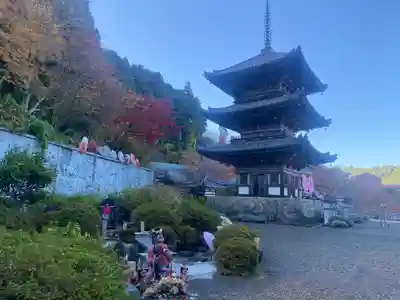 南法華寺（壷阪寺）(奈良県)