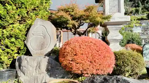 野坂寺(埼玉県)