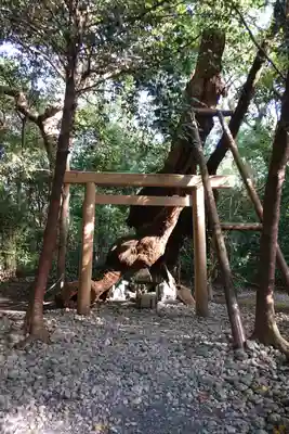月夜見宮（豊受大神宮別宮）の鳥居