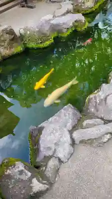 太宰府天満宮の{uncategorized: "未分類", other: "その他", undefined: "問題あり", building: "その他建物", grave: "お墓", sacred_gate: "鳥居", guardian: "狛犬", statue: "像", buddha: "仏像", history: "歴史", nature: "自然", garden: "庭園", animal: "動物", pagoda: "塔", temizu: "手水舎", mountain_gate: "山門・神門", sanctuary: "本殿・本堂", subordinate: "末社・摂社", art: "芸術", scenery: "景色", jizo: "地蔵", ema: "絵馬", goshuin: "御朱印", omikuji: "おみくじ", items: "授与品その他", amulet: "お守り", goshuincho: "御朱印帳", eats: "食事", festival: "お祭り", votive_dance: "神楽", shichigosan: "七五三参", wedding: "結婚式", experience: "体験その他", initially: "初詣", around: "周辺", anti_infection: "感染症対策"}