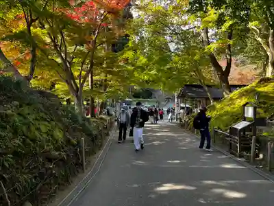 中尊寺(岩手県)