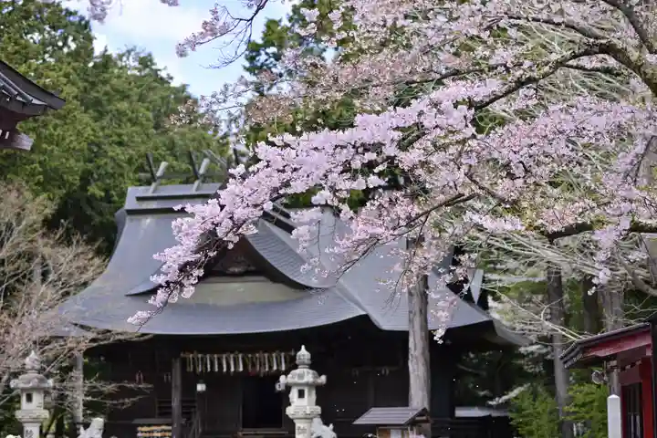 冨士御室浅間神社の本殿・本堂