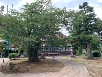 医王寺(千葉県)