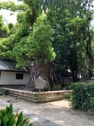 百舌鳥八幡宮の庭園