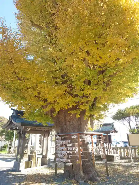 鴨居八幡神社(神奈川県)