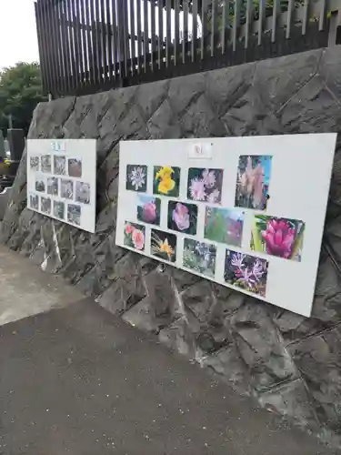 金仙寺の庭園