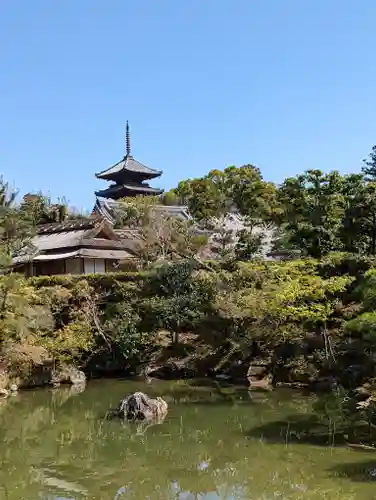 仁和寺(京都府)