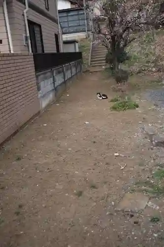 三芳野神社の動物