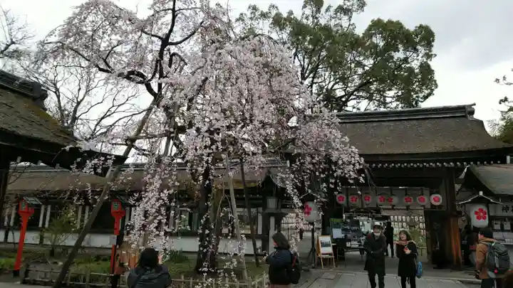 平野神社の自然