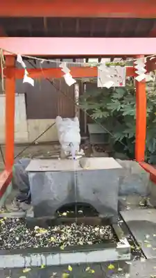 龍ケ崎八坂神社の手水舎