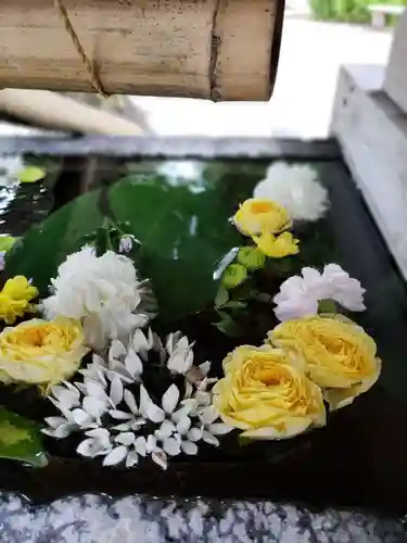 鳩森八幡神社の手水舎